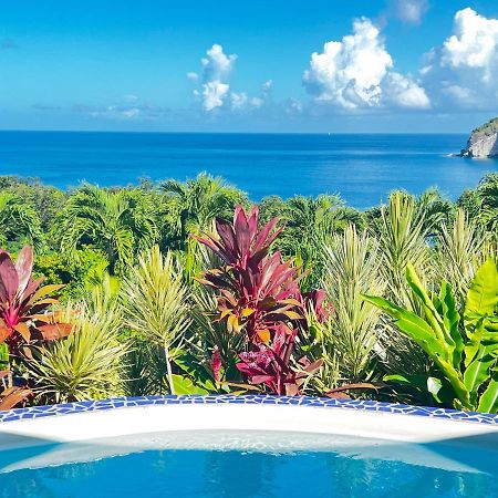 Vue Mer/3Beds/Piscine/Wifi/900 Metres De La Plage Deshaies Zewnętrze zdjęcie