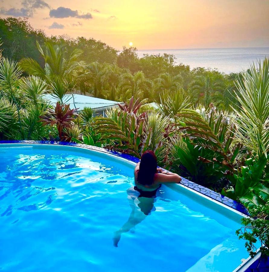 Vue Mer/3Beds/Piscine/Wifi/900 Metres De La Plage Deshaies Zewnętrze zdjęcie