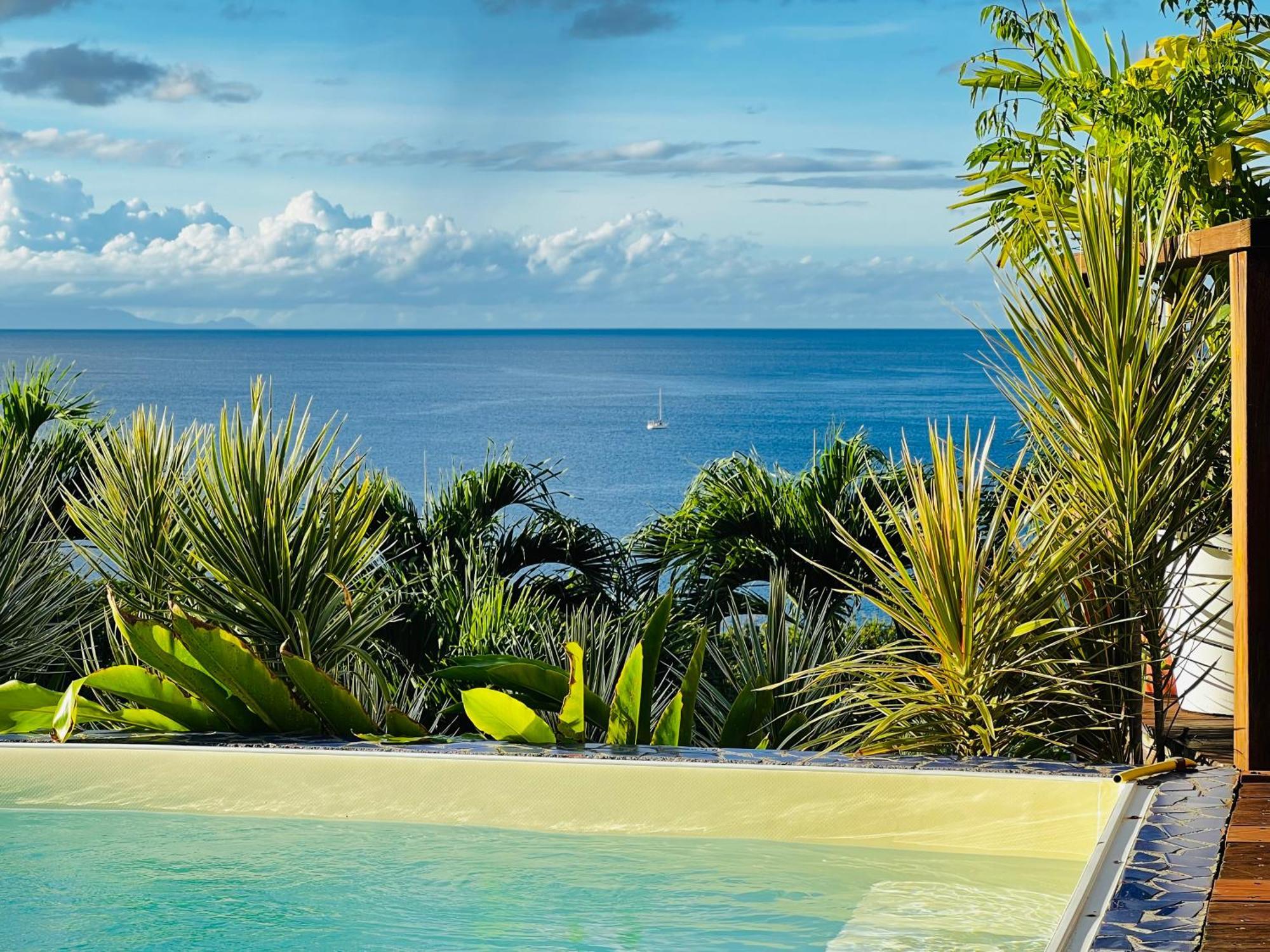 Vue Mer/3Beds/Piscine/Wifi/900 Metres De La Plage Deshaies Zewnętrze zdjęcie